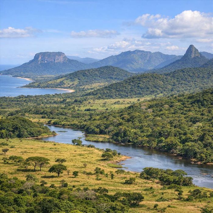 Superficie de la Guinée : étendue et structure du territoire
